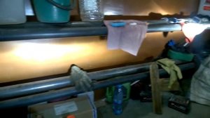 Ксеноновая лампа Xenite D2R