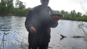 Карась Май месяц рыбалка в Запорожье #Карась#Запорожье#Рыбалка#Fishing