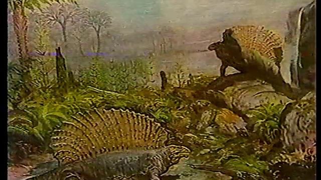 Как развивался животный мир