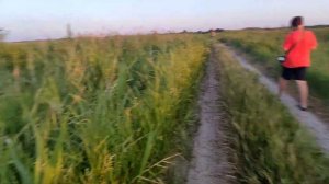 #Старощербиновская | Река Ея в июне | Нашли 6 черепах. 11 Июня 2023