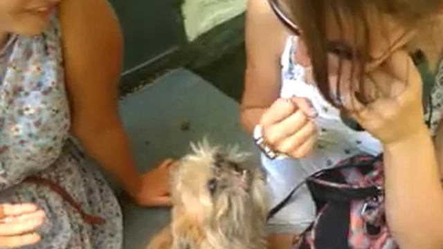 это живодерство О_О