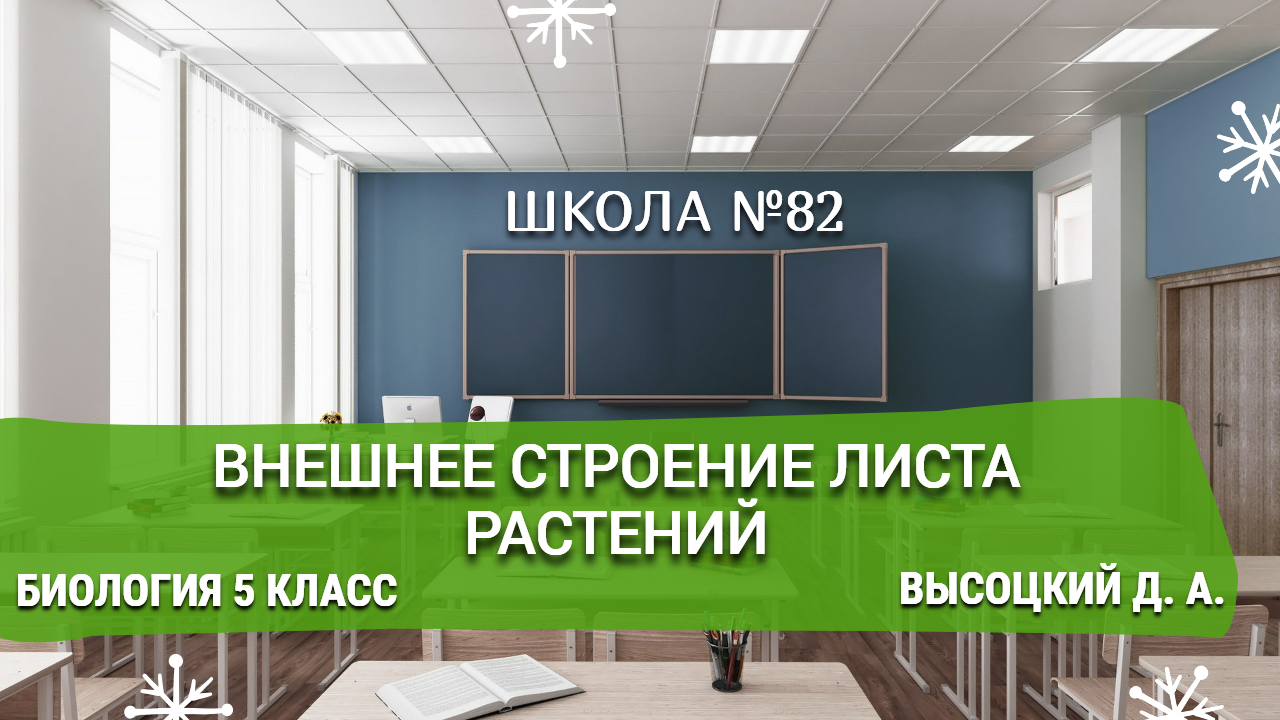 Внешнее строение листа растений. Биология 5 класс. Д. А. Высоцкий