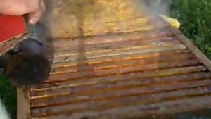 Сетка для сбора прополиса