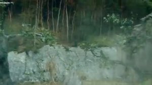 Фильм Детектив Ди 🕵👣👞👞😈