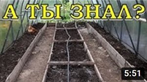 НАВОЗ: как грамотно удобрить грядки с осени?