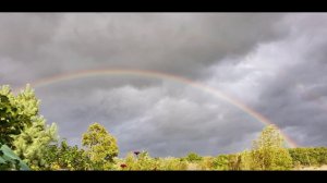 Пока мы живы