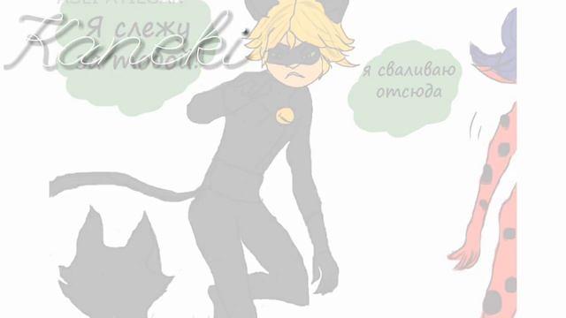 Я слежу за тобой!!!/комиксы леди баг и кот нуар/Kaneki смотреть онлайн