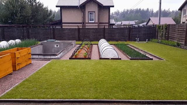46. Газон. Удобрение газона. Стрижка газона. Полив газона