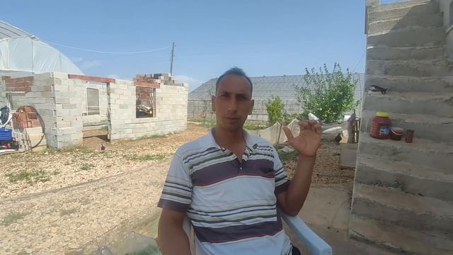 В ГОСТЯХ У ДРУГА - Турецкая деревня осенью \ Сколько стоят овощи от производителя \ Анталия смотреть онлайн