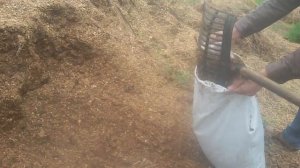 Конская подстилка для мульчирования почвы