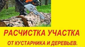 Спил, утилизация деревьев и веток.