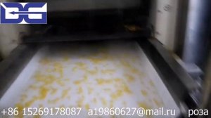 Линия производства кукурузных хлопьев 200-300кг/ч