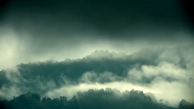 ЧЕСТЬ как есть с точки зрения православия. Религиозная энциклопедия. Великанов Павел смотреть онлайн