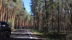 Лесная дорога Тверская область, Орша