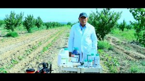 ЗАЩИТИМ БАХЧЕВЫЕ КУЛЬТУРЫ ОТ ДЫННОЙ МУХИ