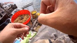 Фаршированная кукуруза для Леща. Рыбалка.