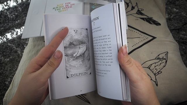 UNBOXING & FIRST IMPRESSIONS - Moonology and The Wild Unknown Oracle Decks смотреть онлайн