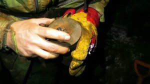 Коп в лесу. Александр(реставратор)№177