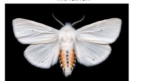 Русский язык. 2 класс. В.П. Канакина. 2 часть, стр. 14 упр. 22