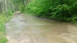 Kia Retona in Action