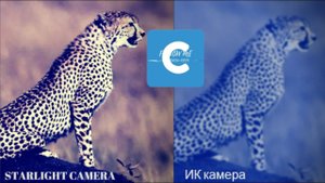 Что такое STARLIGHT  камера-для ночной съемки SONY IMX291+NVP авто IRIS