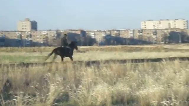 Бег лошади. смотреть онлайн