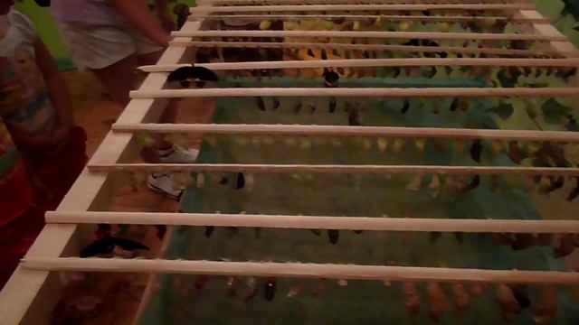 бабочки смотреть онлайн