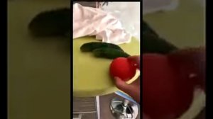 РИСОВАНИЕ С НАТУРЫ -2. ОВОЩИ