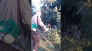 Смотрю как дядя Женя косит травку
