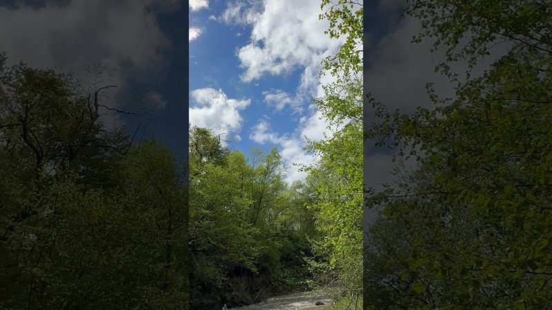 River sound and beautiful Mountain forest