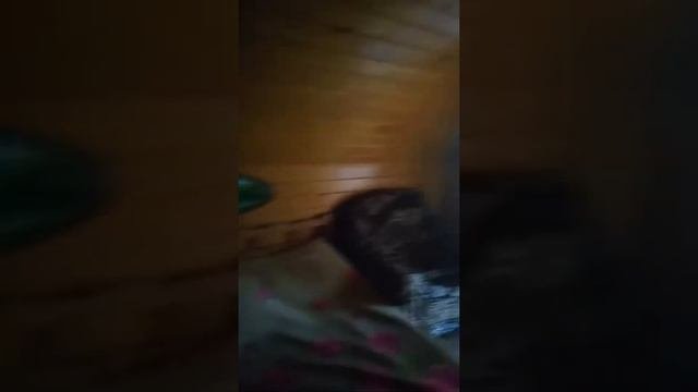 Ставропольский край База отдыха