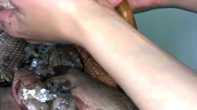 Глисты в рыбе смотреть онлайн