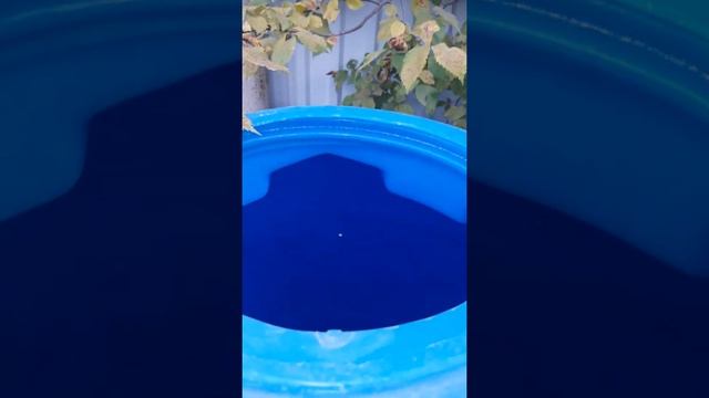 Пластиковая емкость 1500 л смотреть онлайн