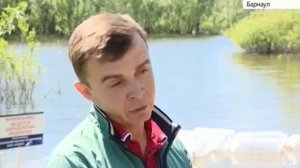 Полмиллиона мальков сазана выпустили в притоки Оби