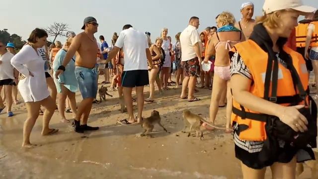 Остров Обезьян ЭКСКУРСИЯ ОТ НИКА ТРЕВЕЛ (Таиланд, Паттайя).КАК ТУРИСТЫ  КОРМЯТ ОБЕЗЬЯН