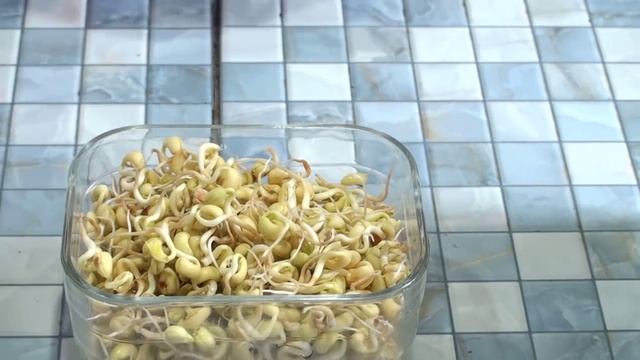 Салат из пророщенных семян Маш. Как приготовить салат. Вегетарианский. смотреть онлайн