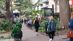 Bushman Prank: Scary Humans 2021