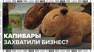 "Это Москва. Бизнес": как капибары помогают предпринимателям в Москве - Москва 24