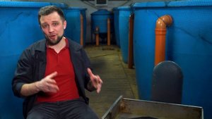 ОБЗОР рыбы – Африканский КЛАРИЕВЫЙ СОМ! Разведение африканского сома в УЗВ