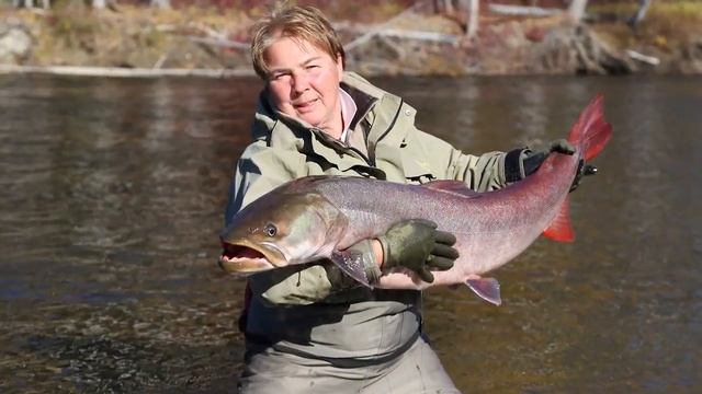 Рыбалка на трофейного тайменя в Красноярском крае (река Тугур). Сплав. смотреть онлайн