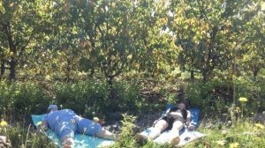 Переезд на юг. Виноградники вблизи. Утренняя зарядка. Горячая кукуруза. Ежедневные дела.