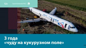 Как избежать авиакатастроф, связанных с попаданием птиц в двигатели самолётов — Мо
