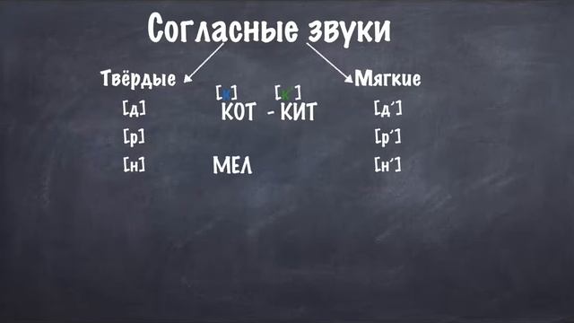 Твёрдые и мягкие согласные звуки смотреть онлайн