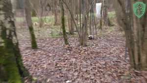 Сказ как Сергий с Иваном в Парк Малевича ходили.