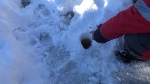 Четыре дня в тайге. Лесная изба. Рыбалка. Таёжный быт