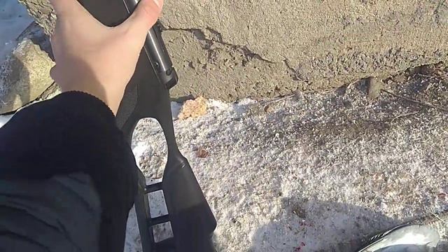 ОХОТА на ГОЛУБЯ с ПНЕВМАТИКОЙ /Hatsan Striker Edge смотреть онлайн