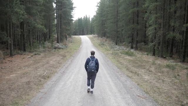 ВОТ Что будет если ходить 10000 шагов в день. ( Это невероятно )
