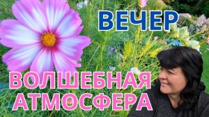 Рассказываю про свои цветы в огороде ??? Просто Мария