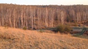 Озеро Подсопки