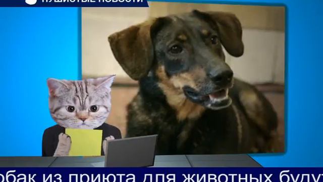 15 и 16 августа акция "ХОЧУ ДОМОЙ!" смотреть онлайн